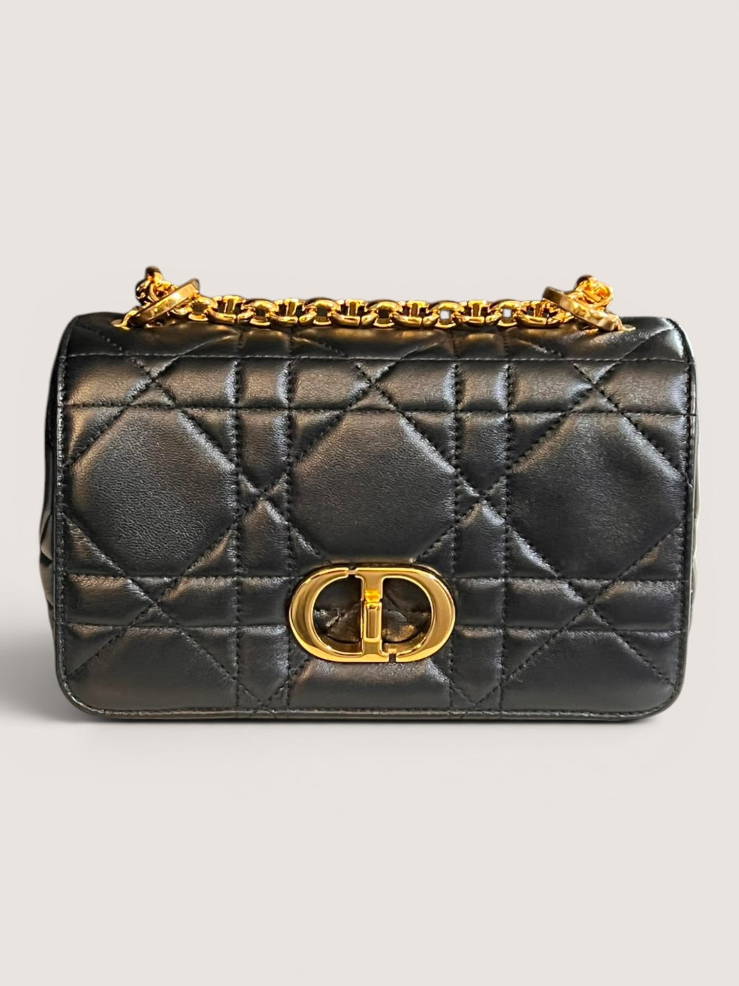 Dior Caro Soft Small
