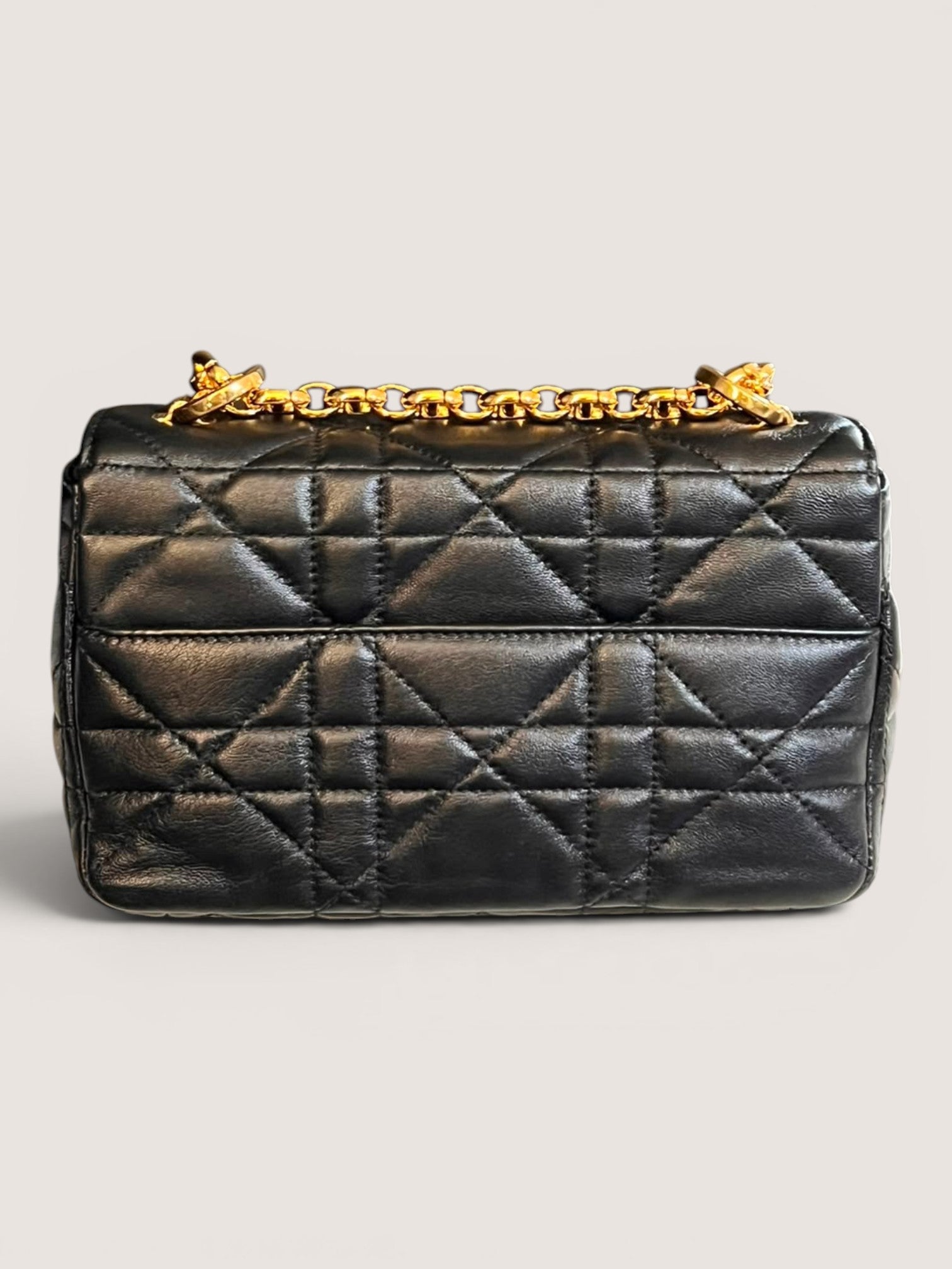 Dior Caro Soft Small