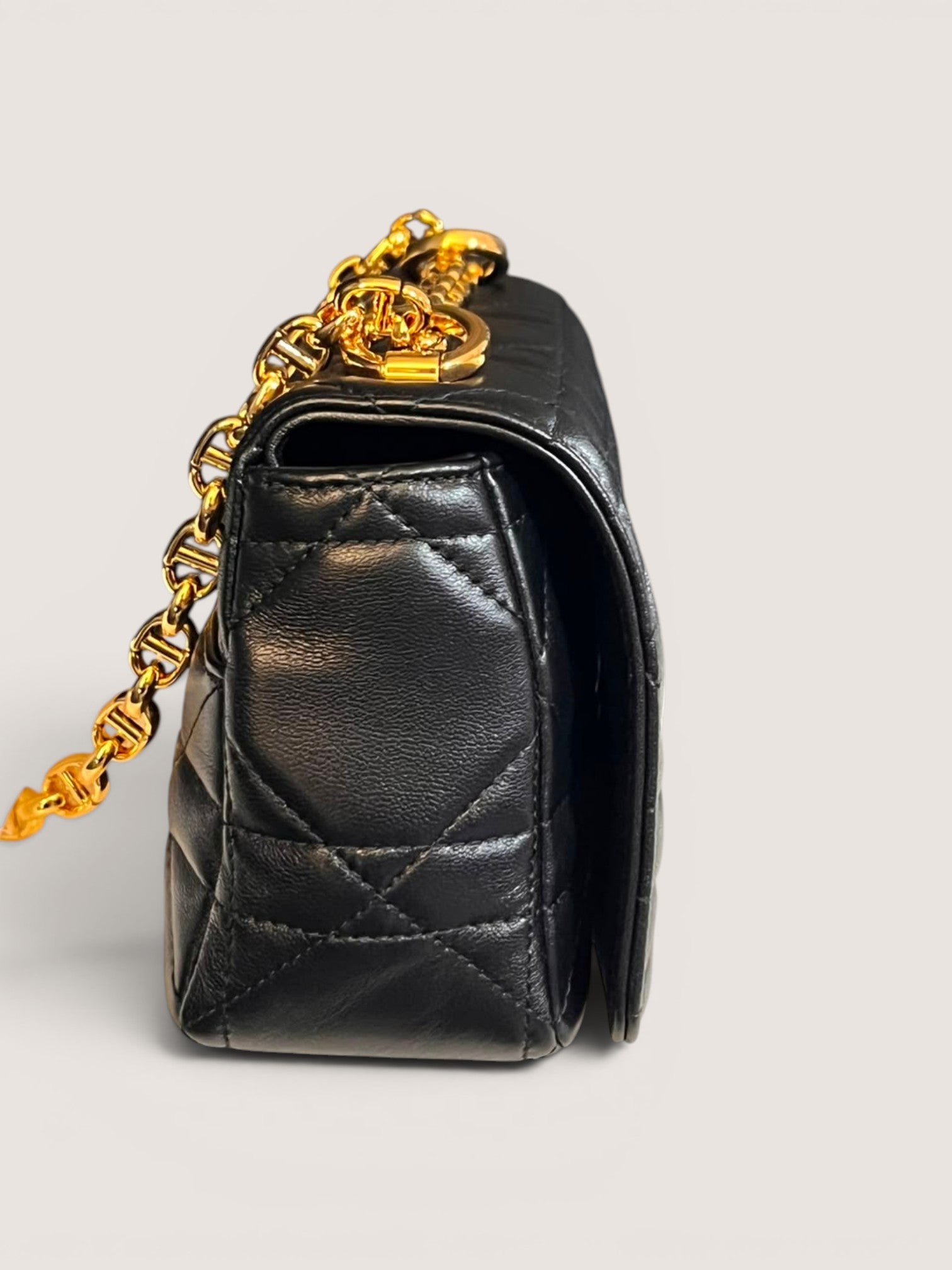 Dior Caro Soft Small