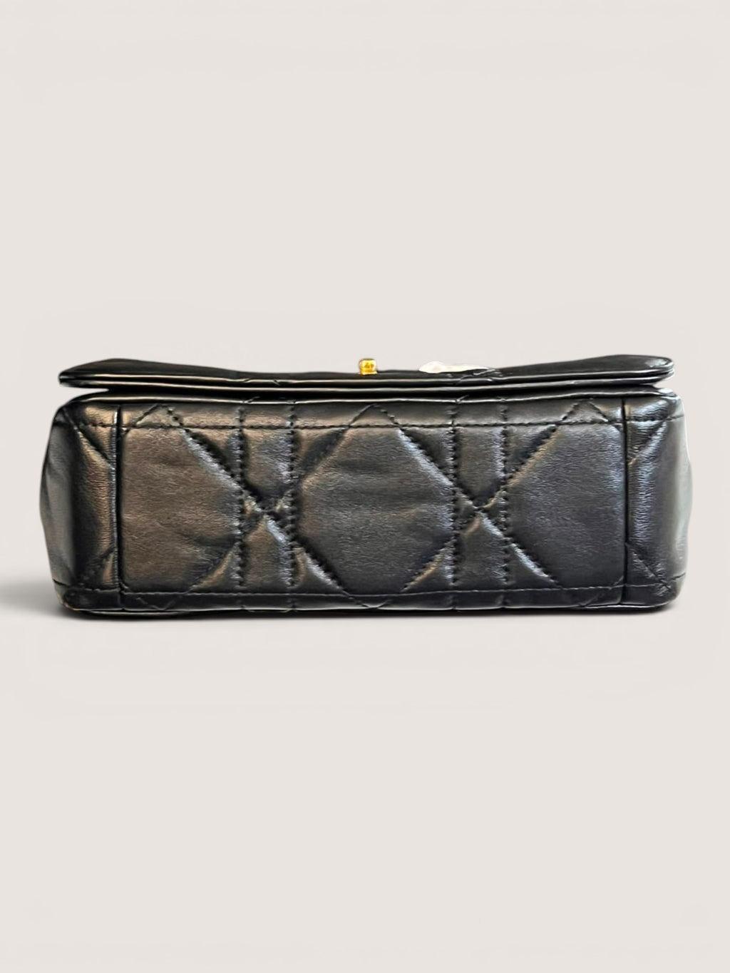 Dior Caro Soft Small