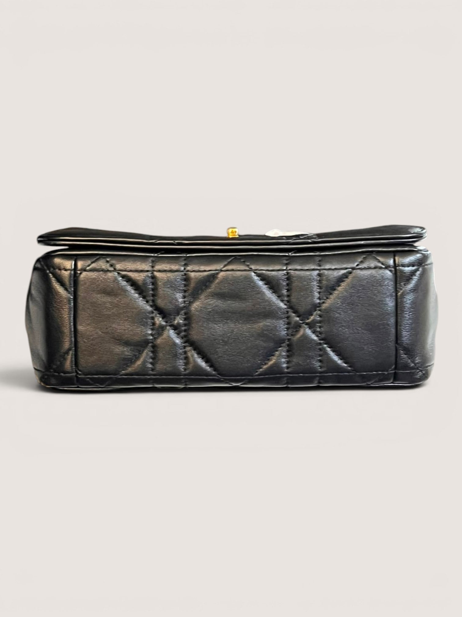 Dior Caro Soft Small