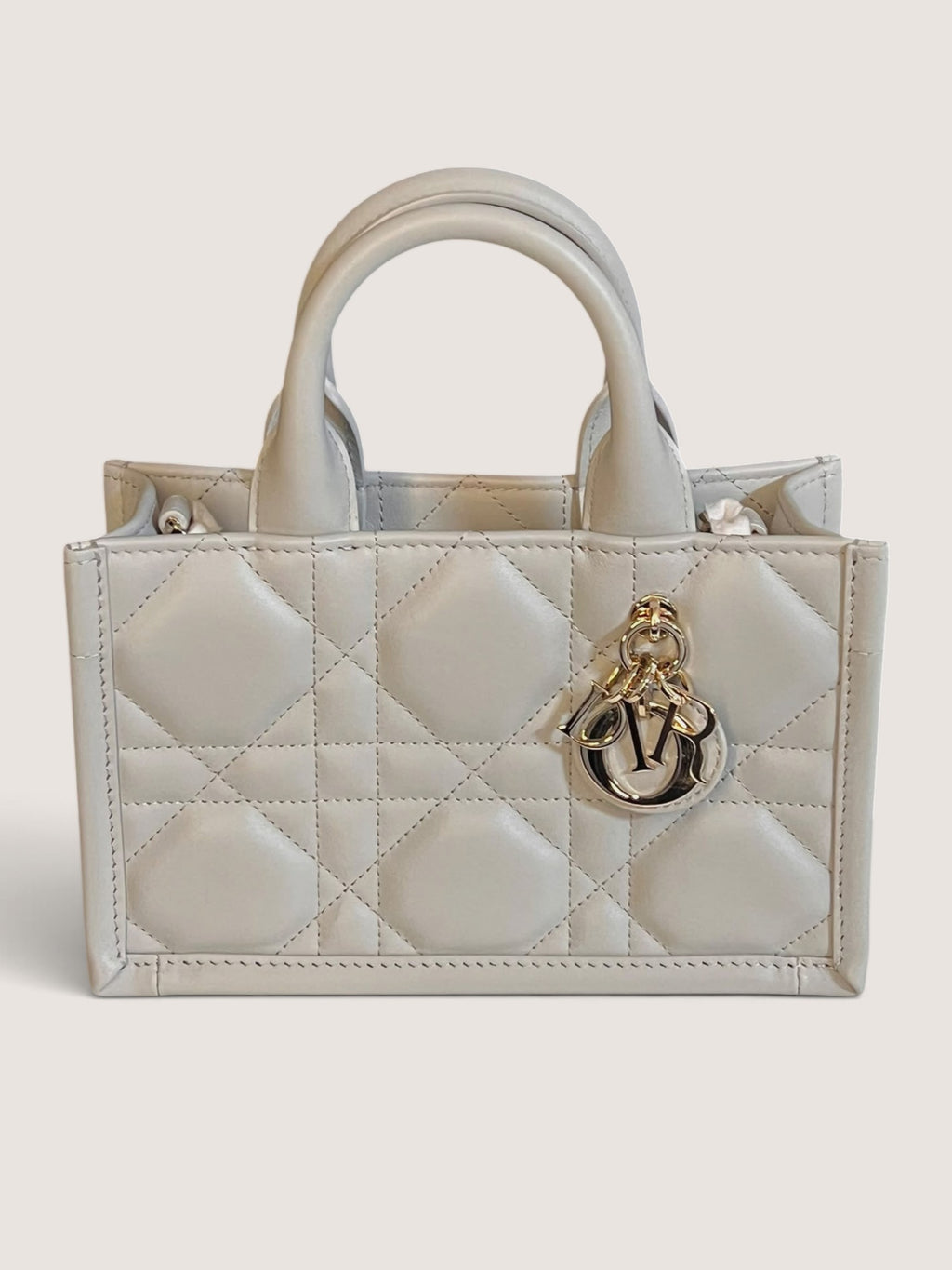 Mini Dior Book Tote