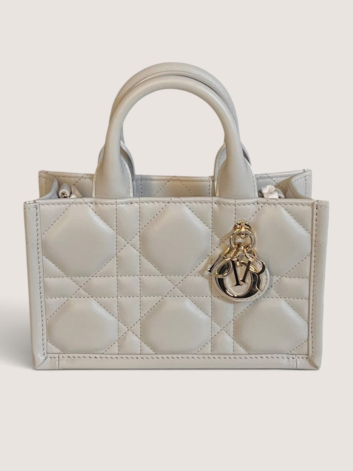Mini Dior Book Tote