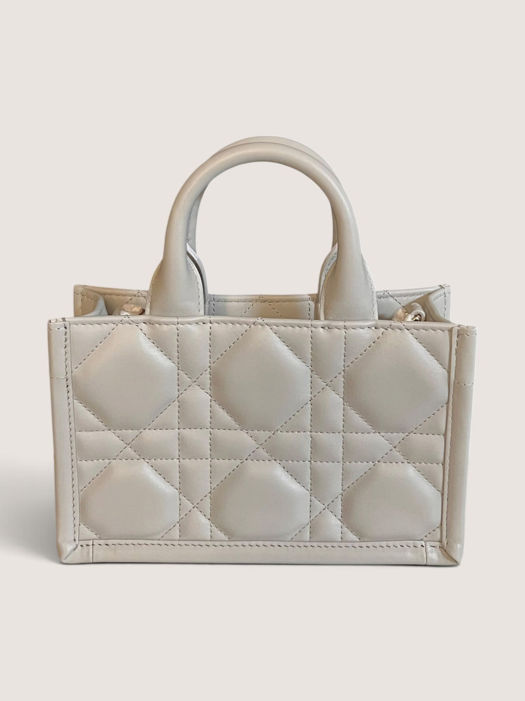 Mini Dior Book Tote