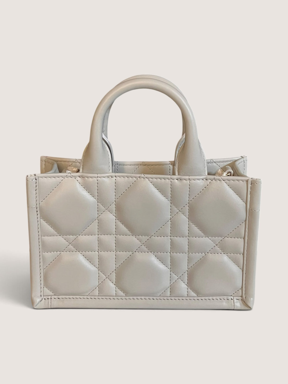 Mini Dior Book Tote
