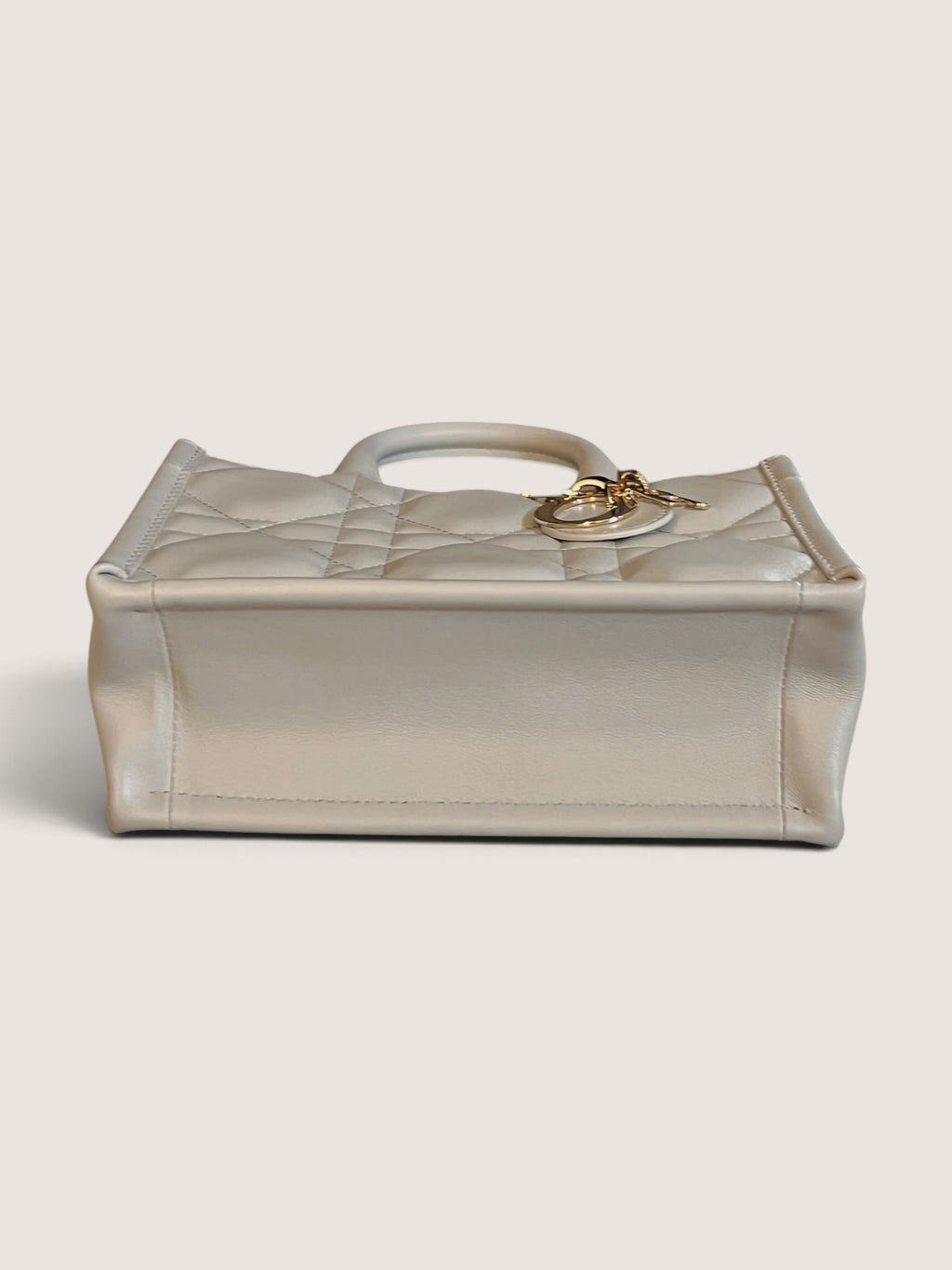 Mini Dior Book Tote
