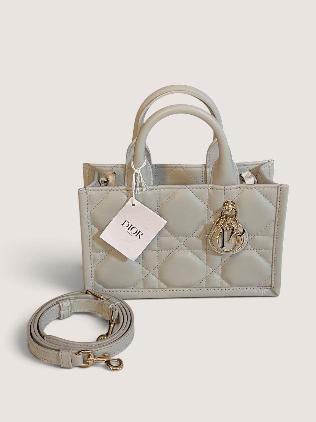 Mini Dior Book Tote