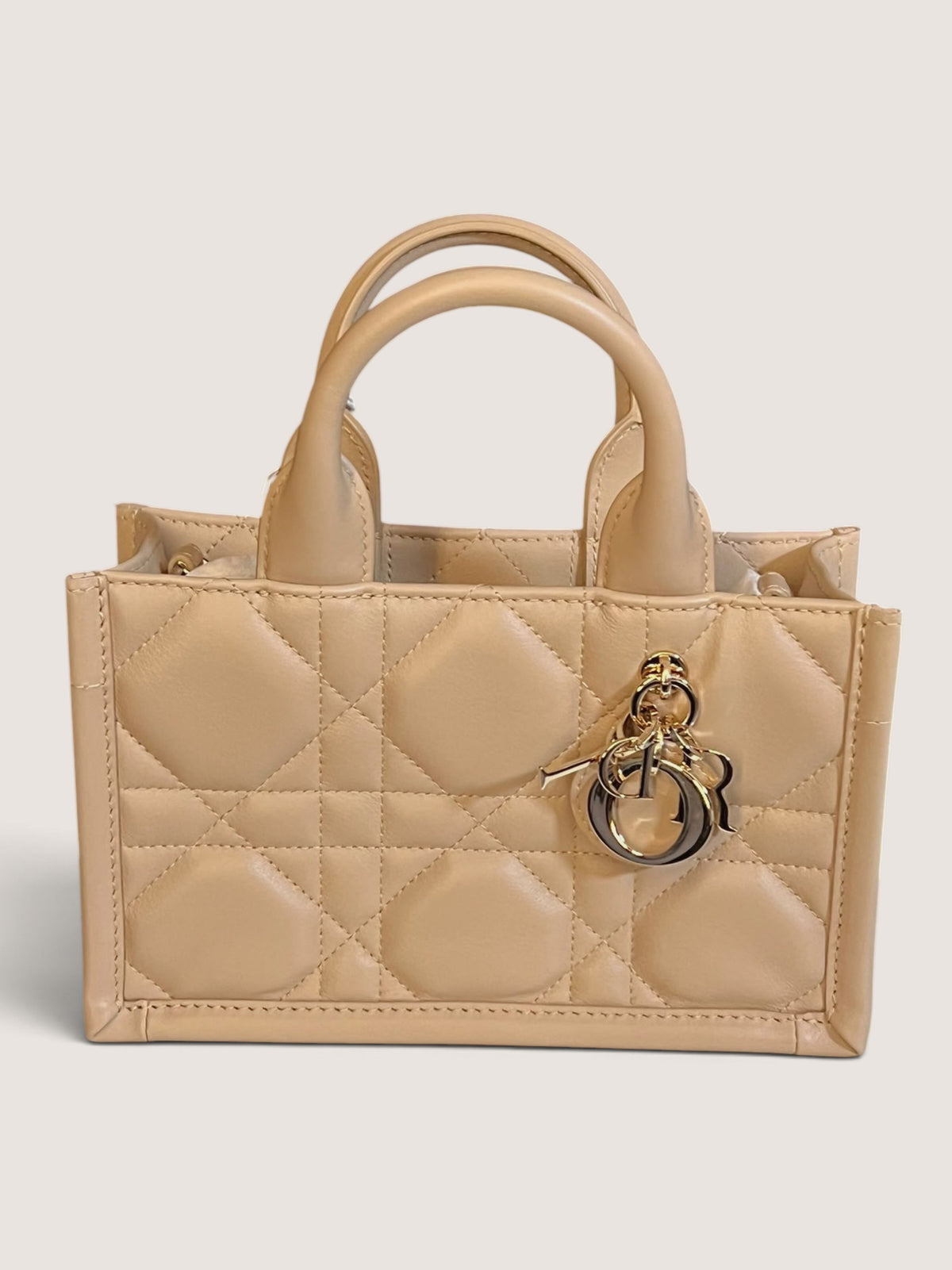 Mini Dior Book Tote