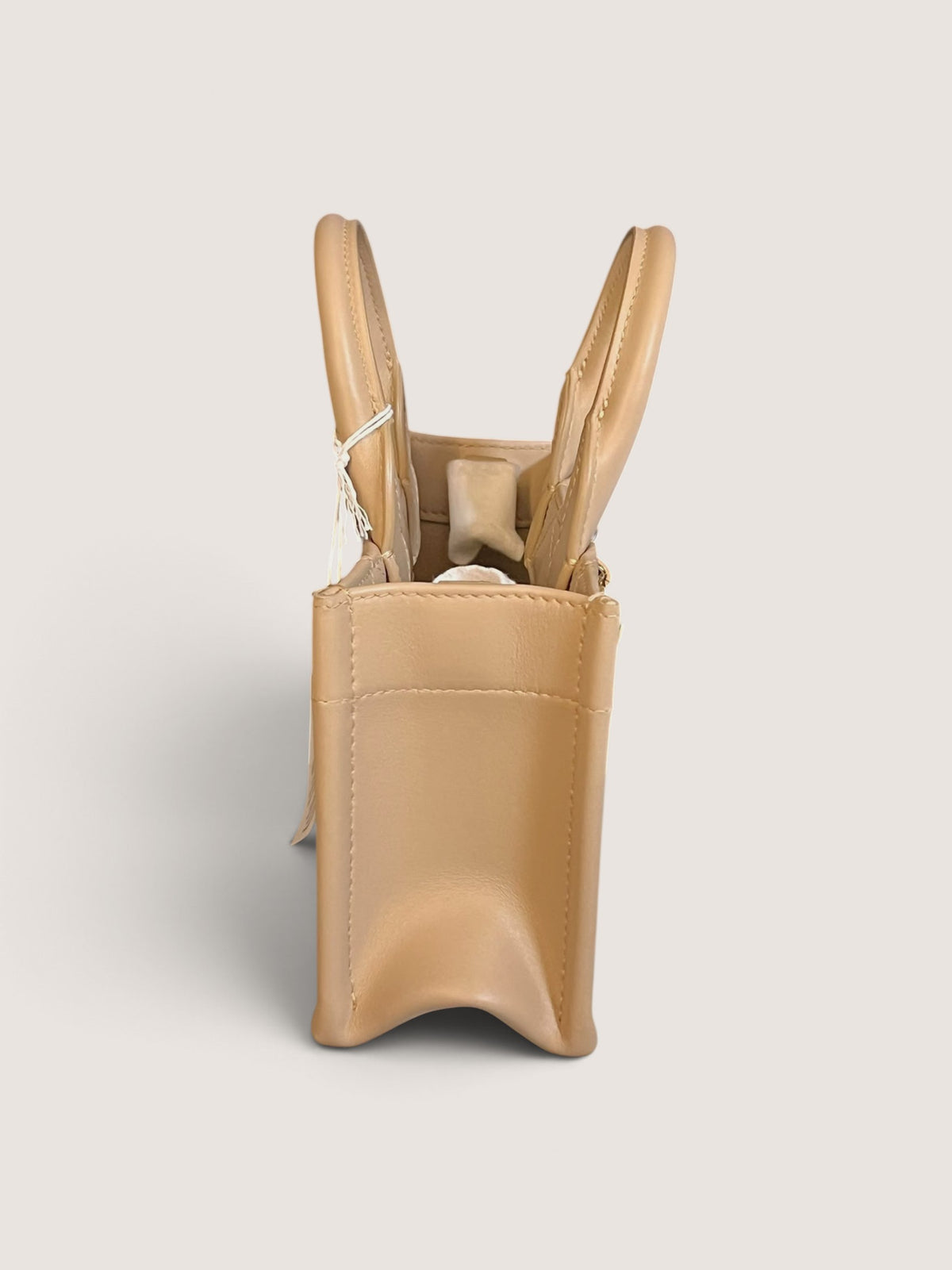 Mini Dior Book Tote