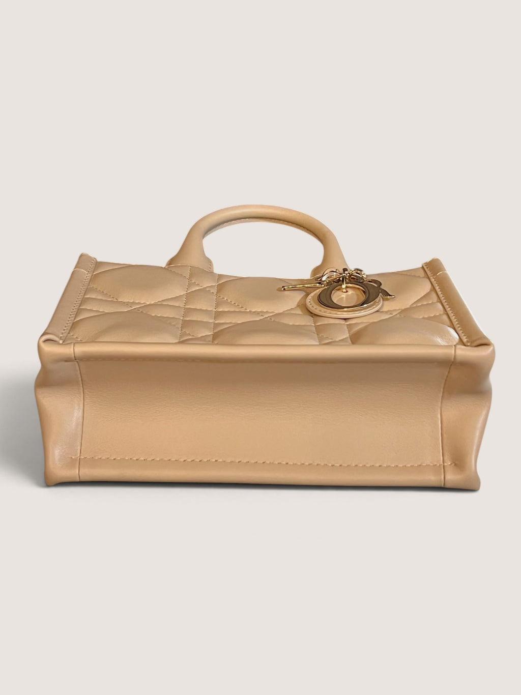 Mini Dior Book Tote