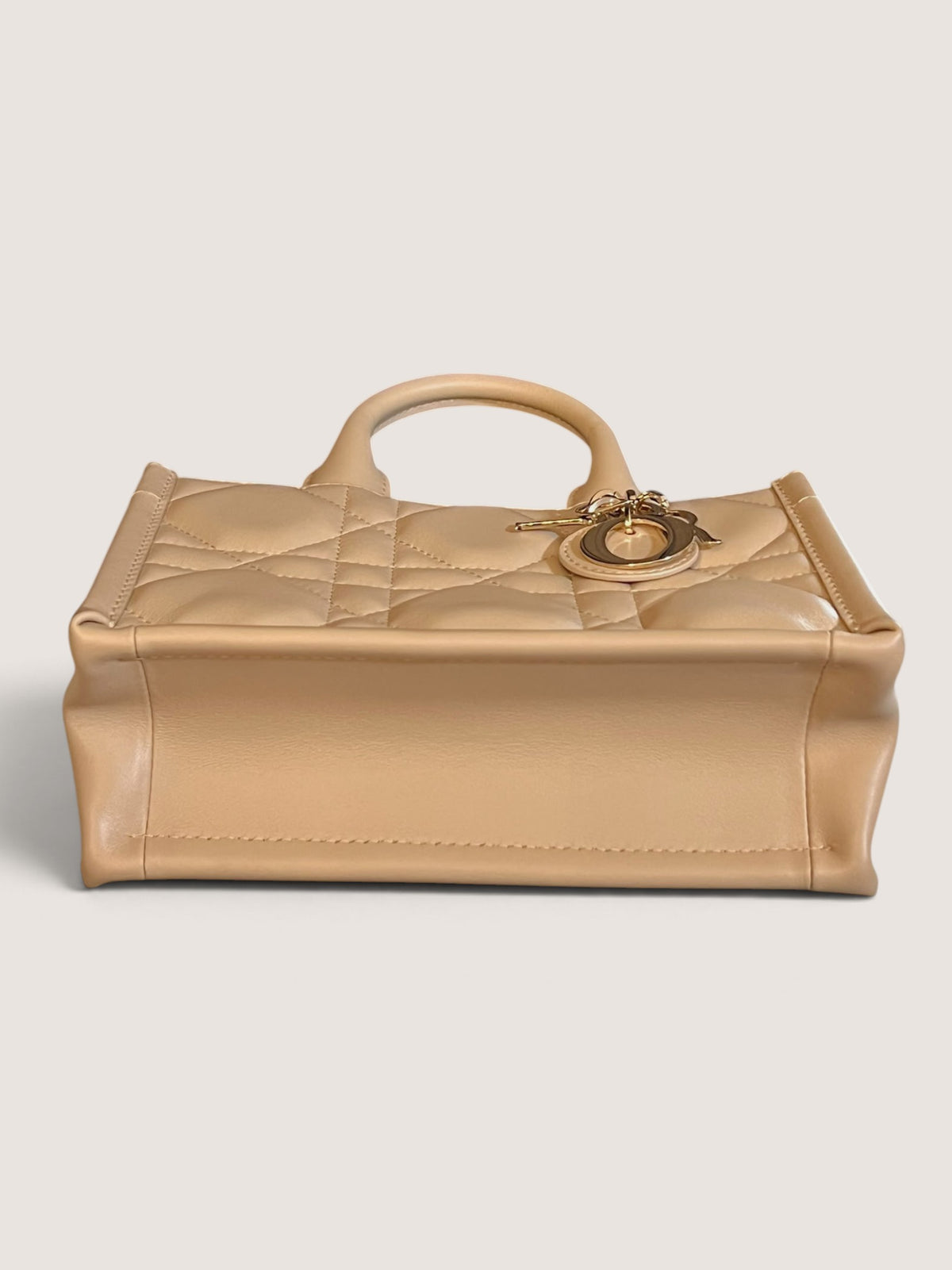 Mini Dior Book Tote