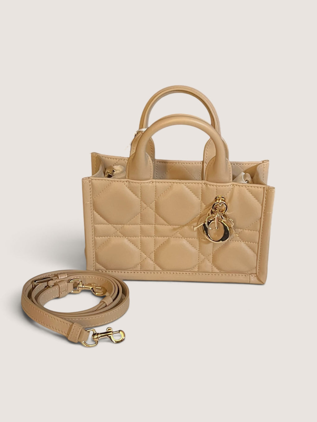Mini Dior Book Tote