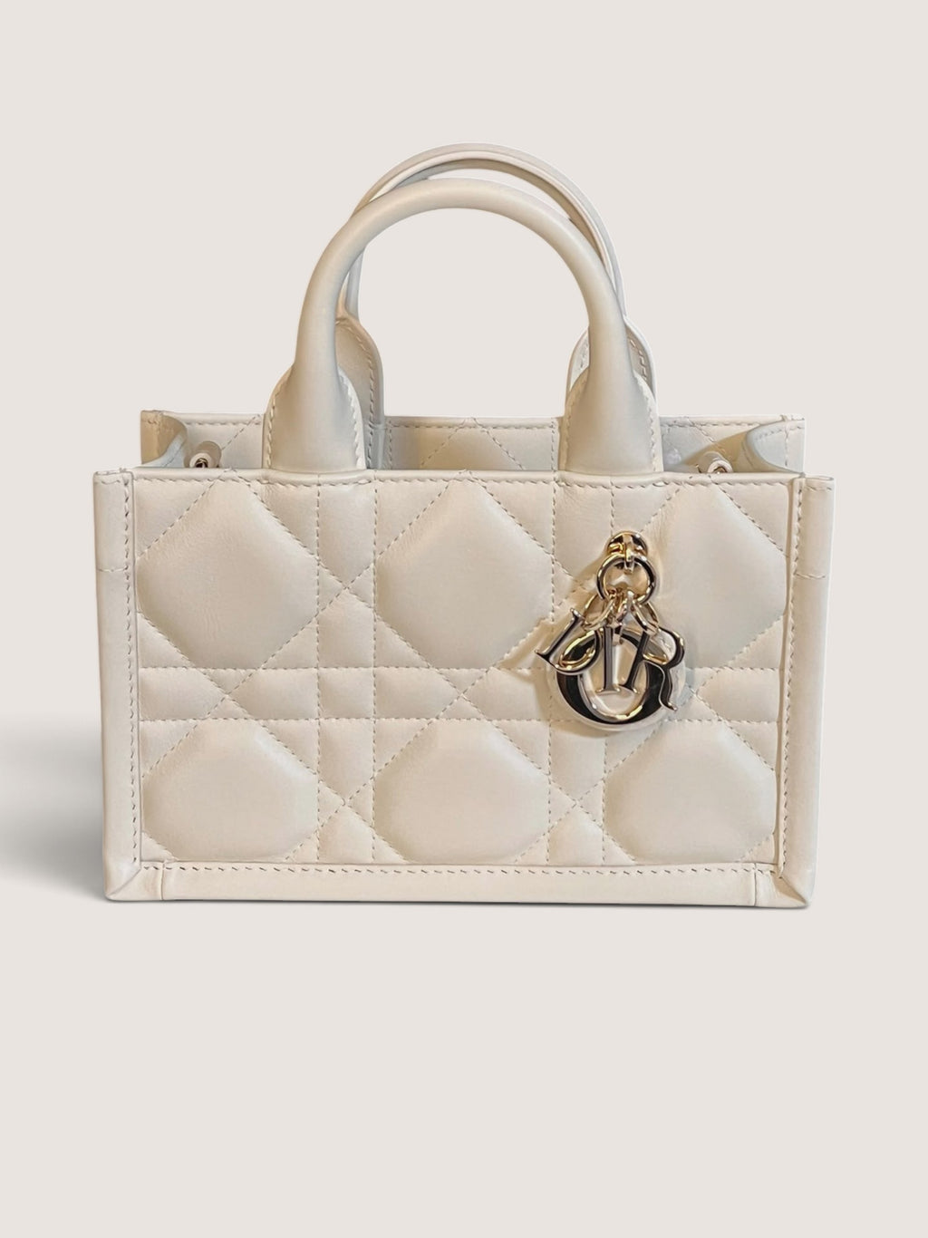 Mini Dior Book Tote