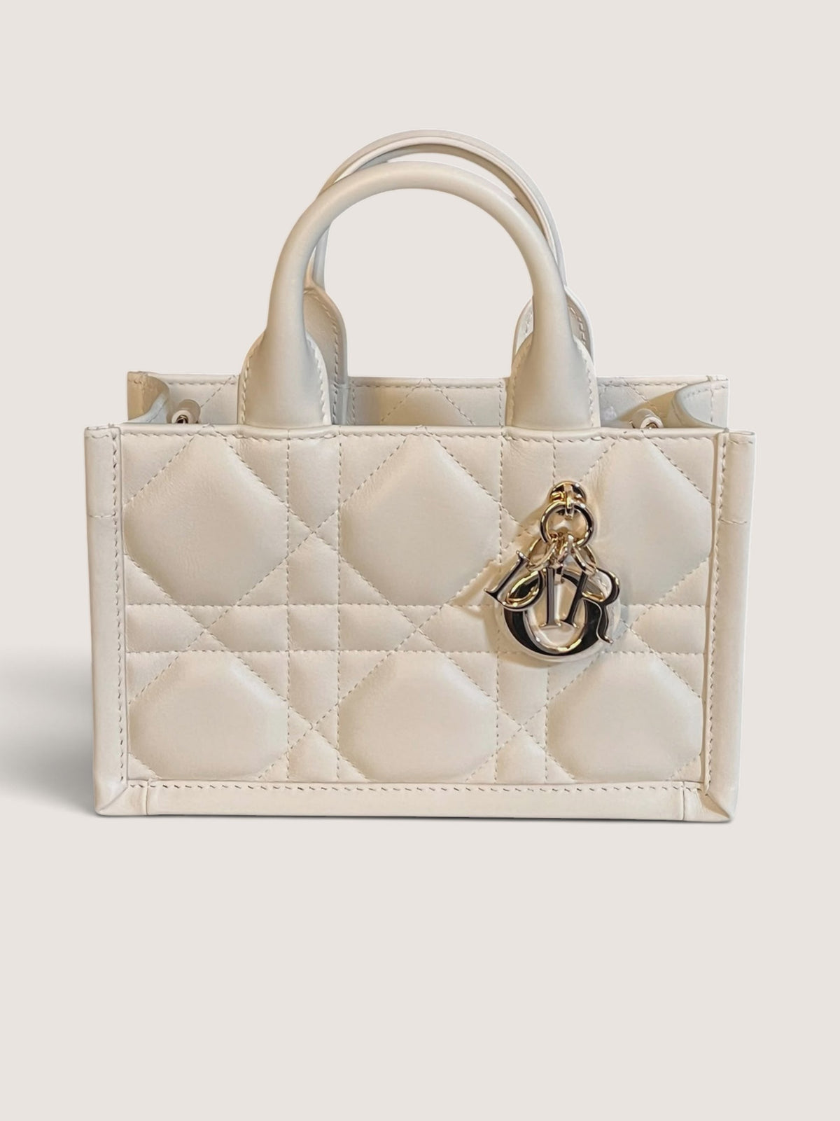 Mini Dior Book Tote