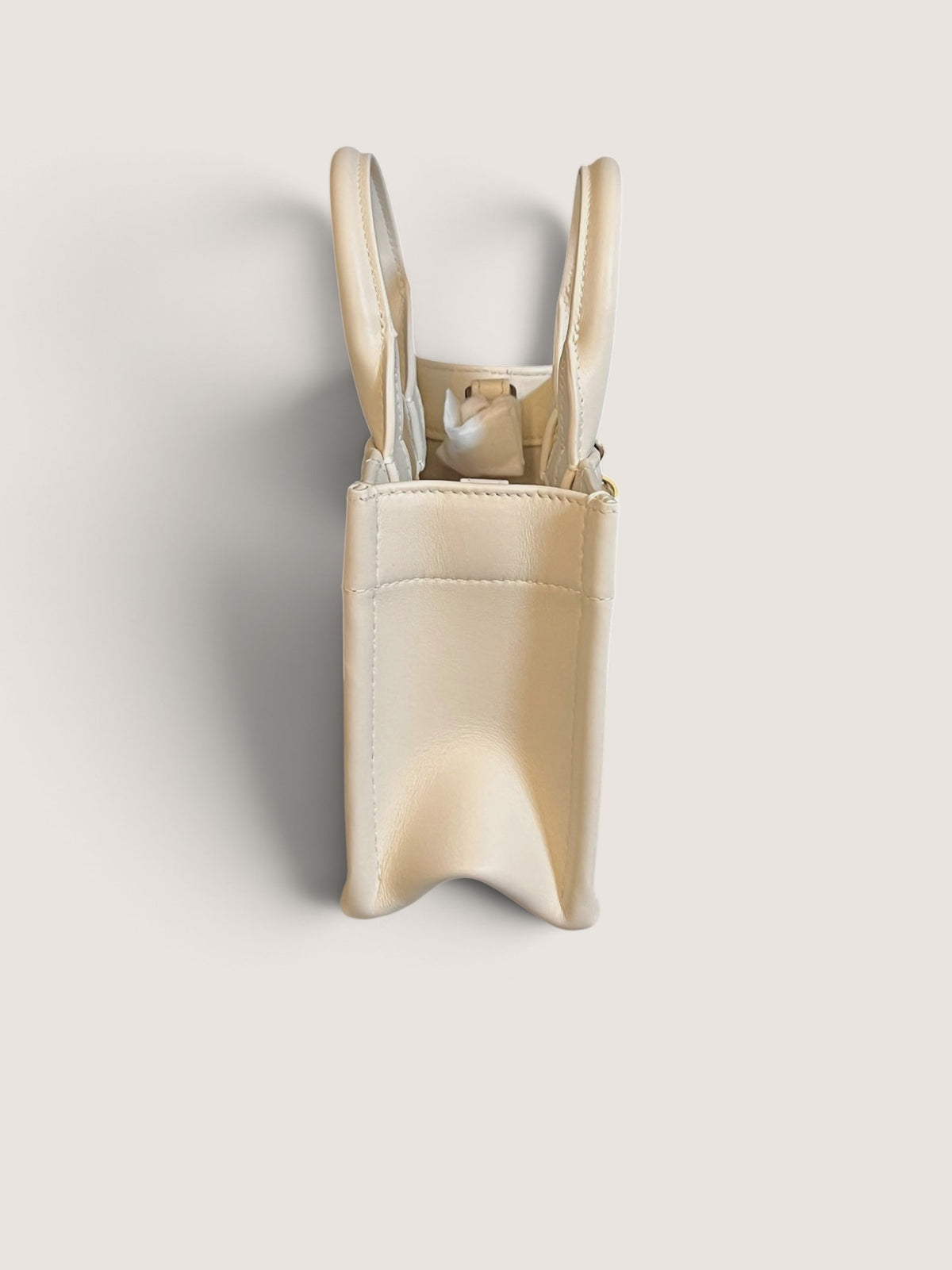 Mini Dior Book Tote
