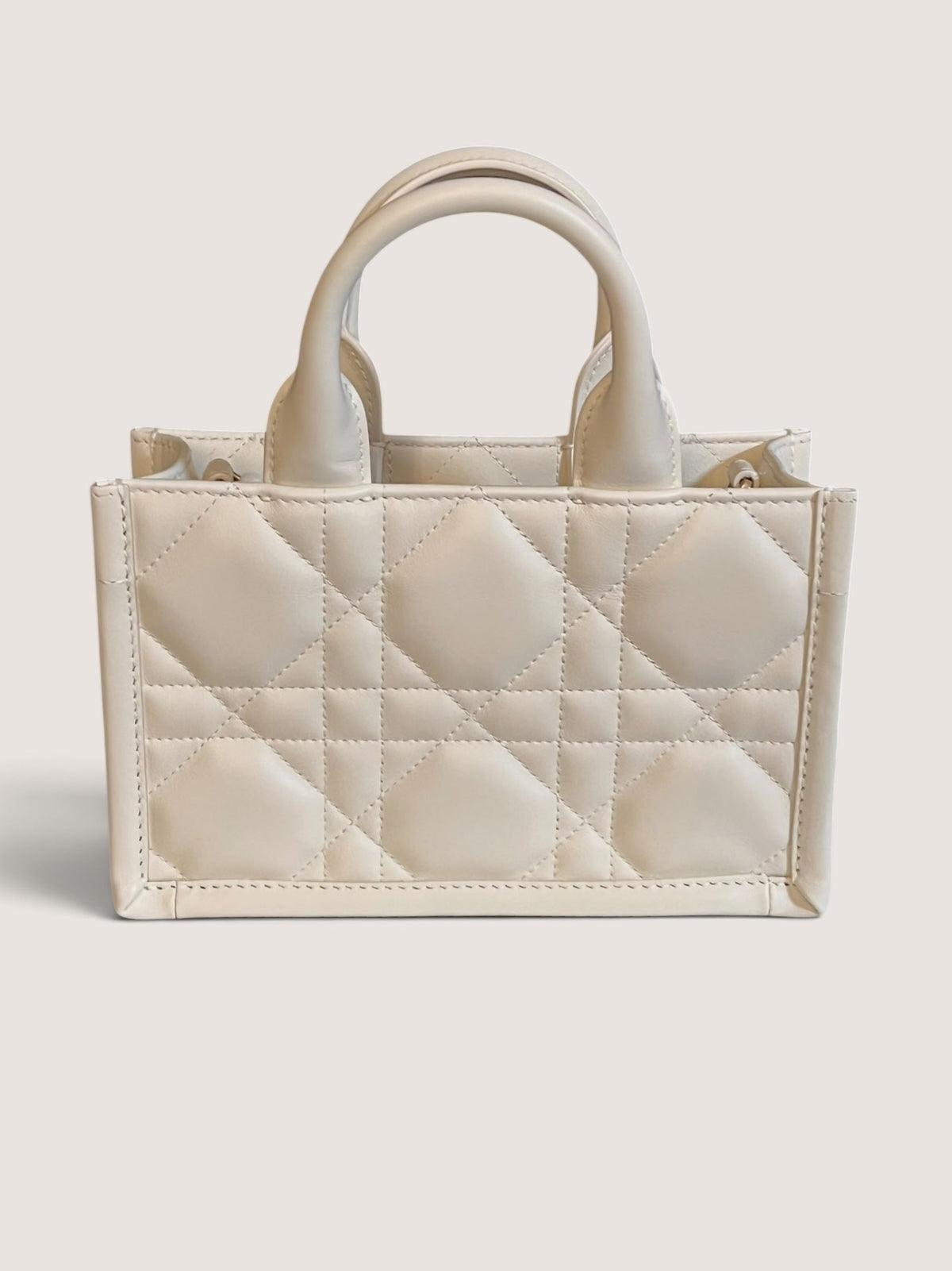 Mini Dior Book Tote