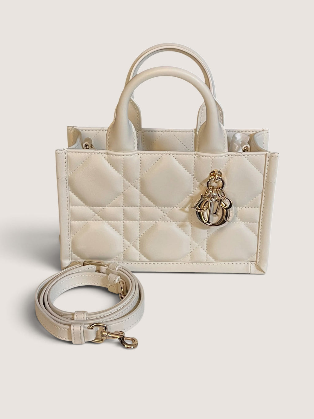 Mini Dior Book Tote