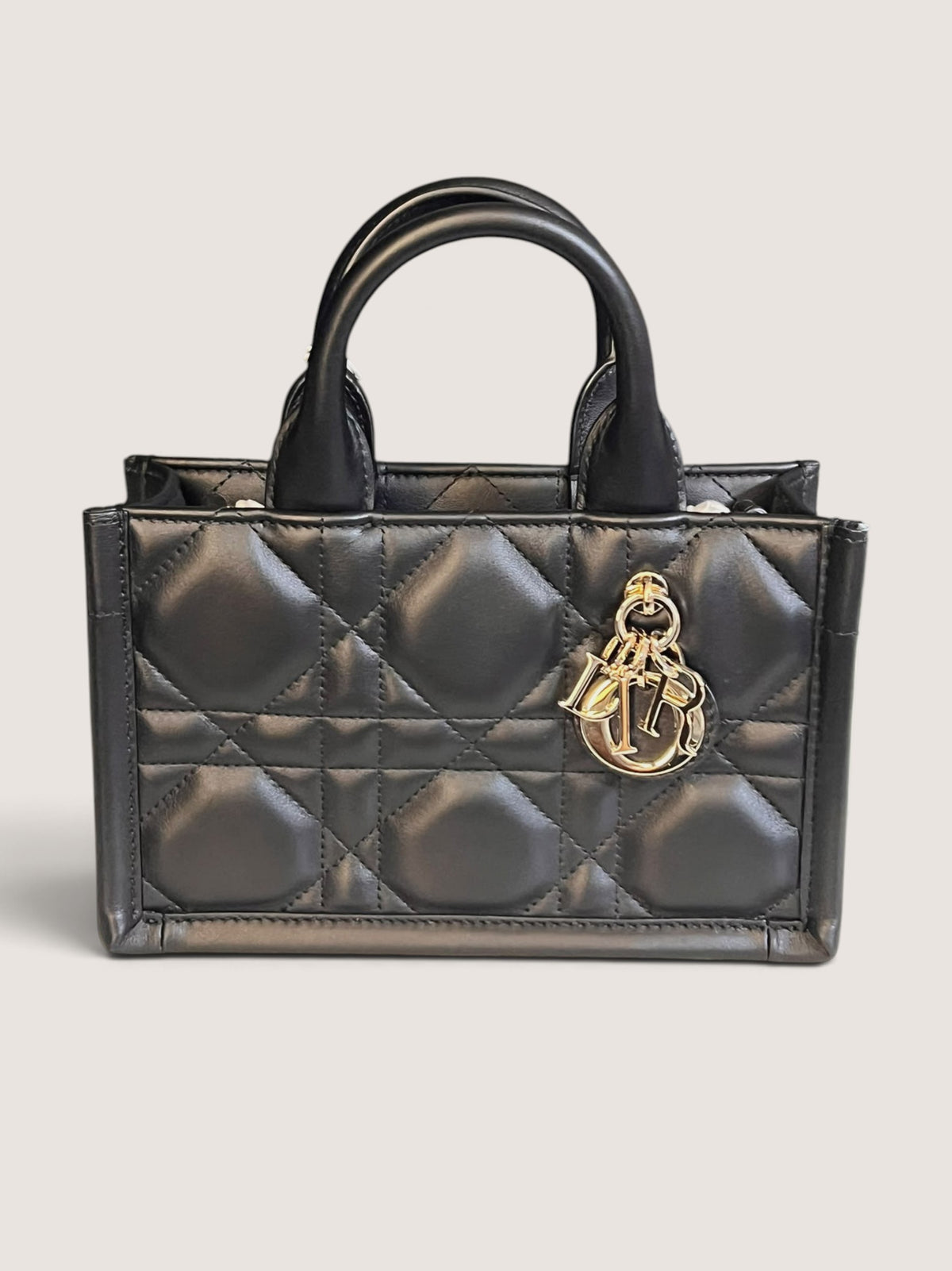 Mini Dior Book Tote