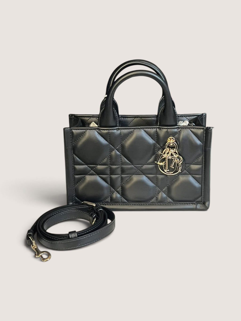 Mini Dior Book Tote