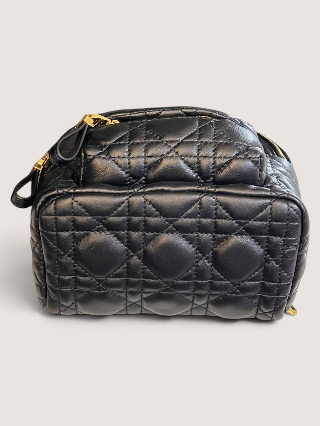 Zaino Mini Dior Caro